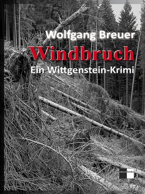 cover image of Windbruch